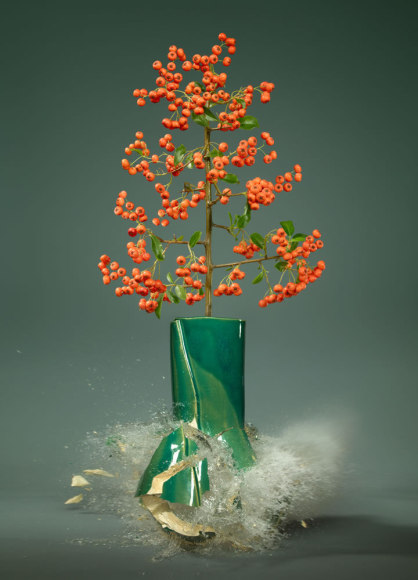 Martin Klimas, Ilex II, 2019