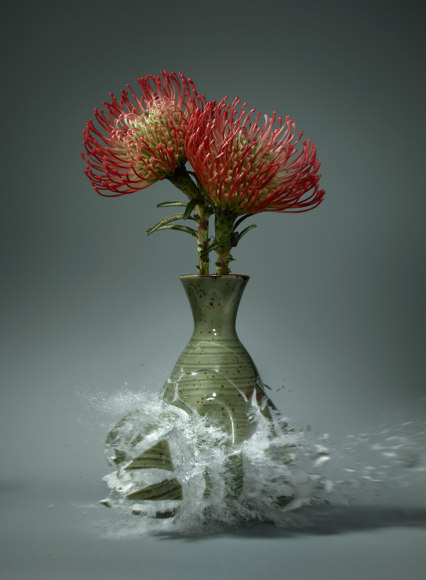 Martin Klimas, Proteanutan II, 2015