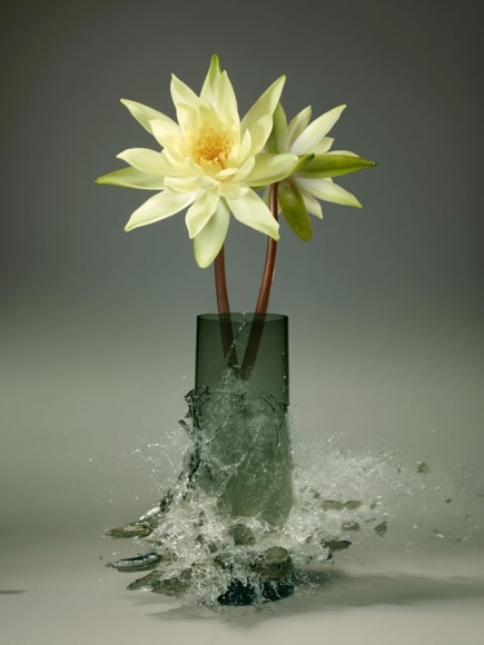 Martin Klimas, Nymphaea Alba III, 2019