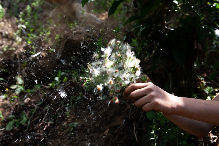 Mayita Mendez, The wish, 2023