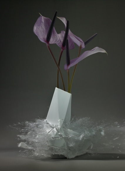 Martin Klimas, Anthurium, 2015