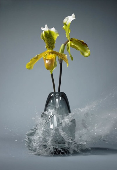 Martin Klimas, Frauenschuh (Cypripedium Calceolus), 2009