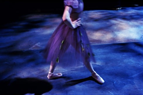 Henry Leutwyler Ballet , 2012