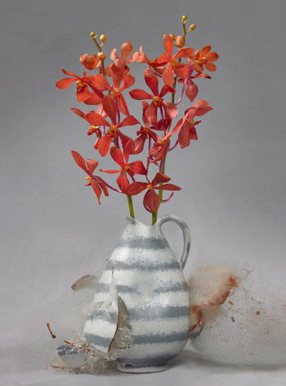Untitled (Orchidaceae III), 2007