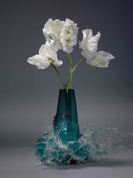 Martin Klimas, Tulipa VII, 2019