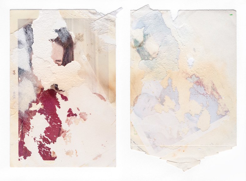 Analog v. Digital, Deborah Orloff - &quot;Two Months / After Image&quot; Diptych from &quot;Elusive Memory&quot;, 2016/2017