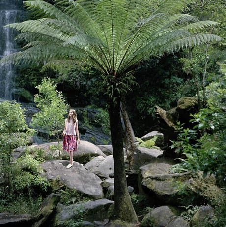 Erskine Falls 1973, 2006