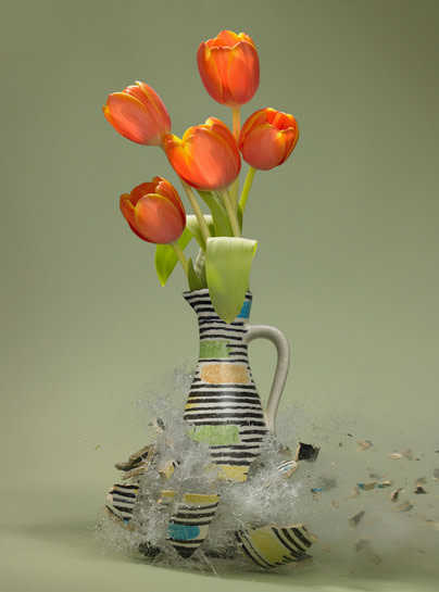 Untitled (Tulipa IV), 2007