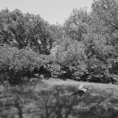 The Park 30, 2013