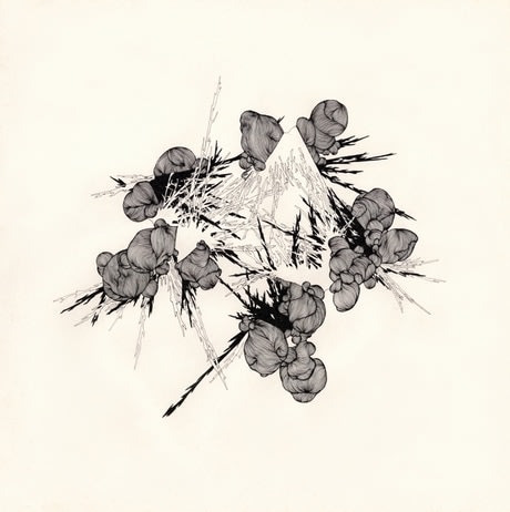 Operable Chambers; Synapse and Sympathies, 2.1, 2008