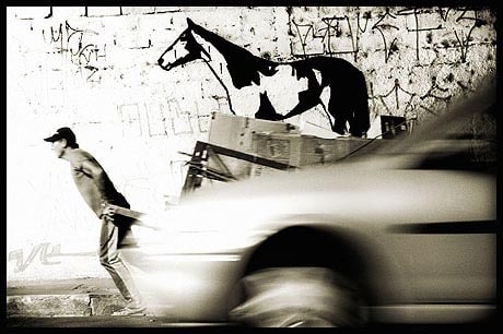 Alexandre Orion, Metabiotica 10, 2003