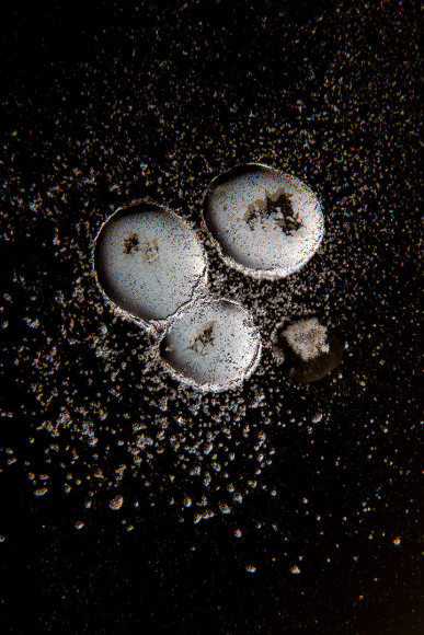 Analog v. Digital, Michelle Murphy - &quot;Cell Division / Multiplication&quot;, 2017