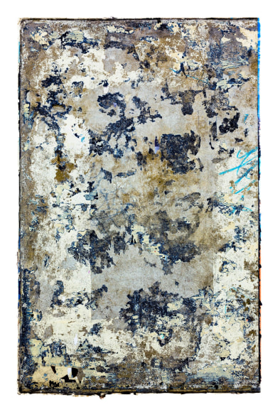 Wyatt Gallery, 50TH C: 162-297, 2017