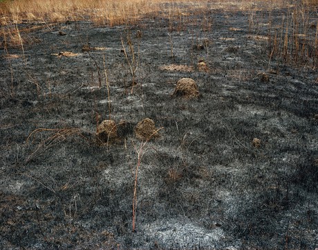 Kursk 1943, Syrtsevo, 2008
