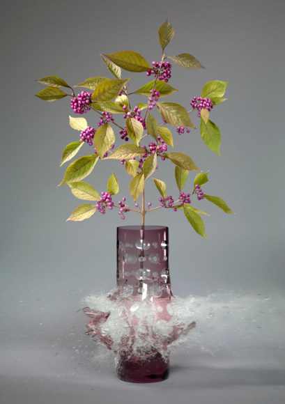 Martin Klimas, Callicarpa Liebesperlen, 2008