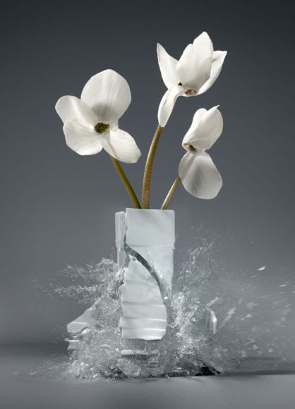 Martin Klimas, Cyclamen Persicum, 2019