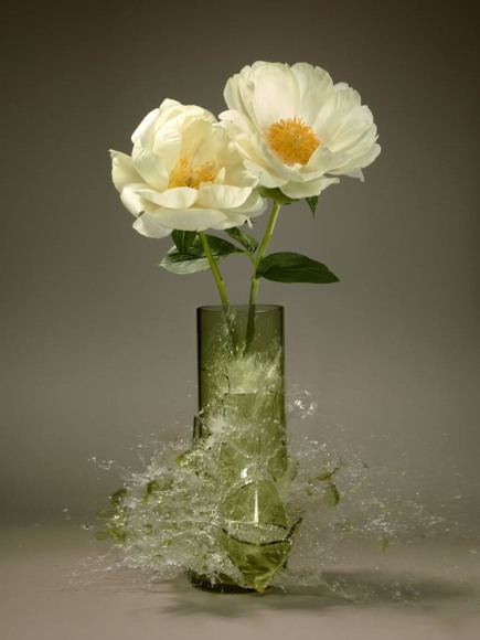 Martin Klimas, Paeonia IX, 2019