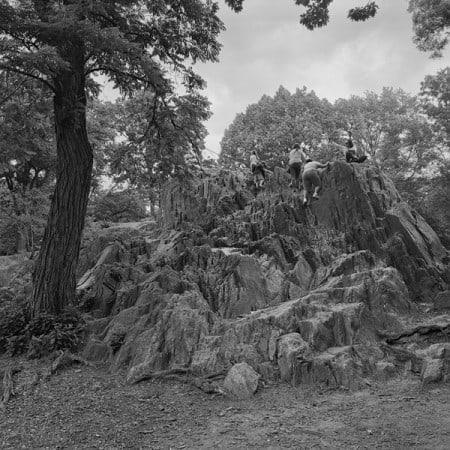 The Park 33, 2013