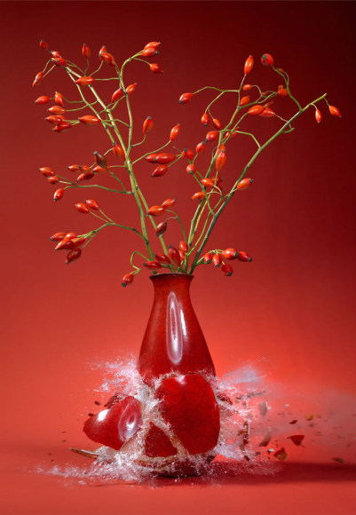 Martin Klimas, Rosa Canina, 2009