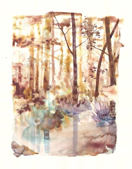 Szilard Huszank, IL A Nr29, 2013
