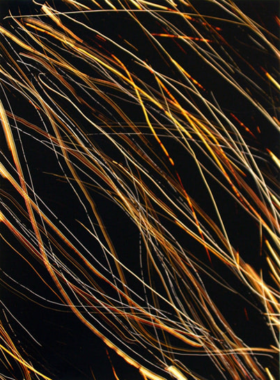 Marco Breuer,  Untitled (C-801), 2008 