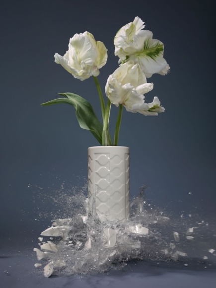 Martin Klimas, Tulipa VI, 2019