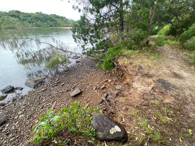 Mending &amp; Tending