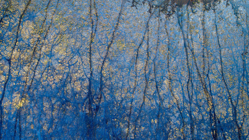 Stu Murphy, Blue Poles, 2018, Aerial photo of wetlands near Grafton NSW