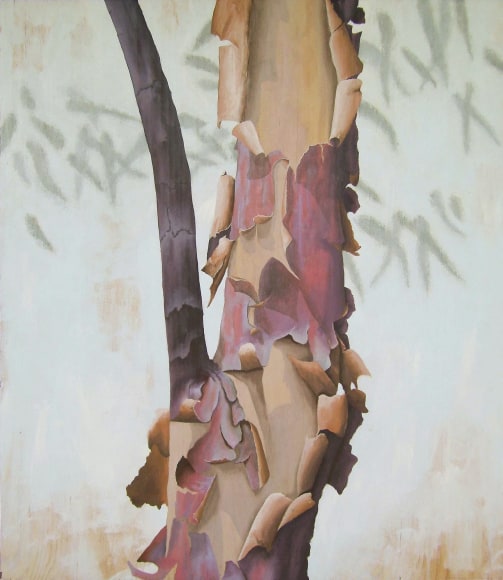 Graham 'Potts' Porter  Second Skin  Acrylic on plyboard 2016