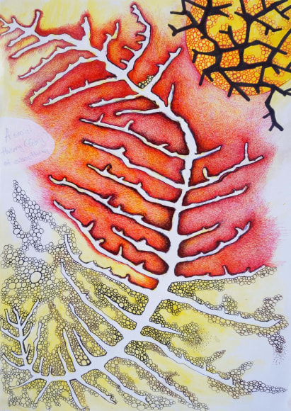 Jeremy Hawkes Ulterior Motif (Sources 5)