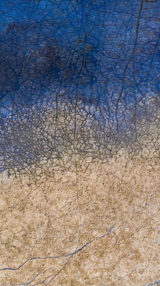 Stu Murphy, Swan One, 2018, Aerial photo of wetlands near Grafton NSW