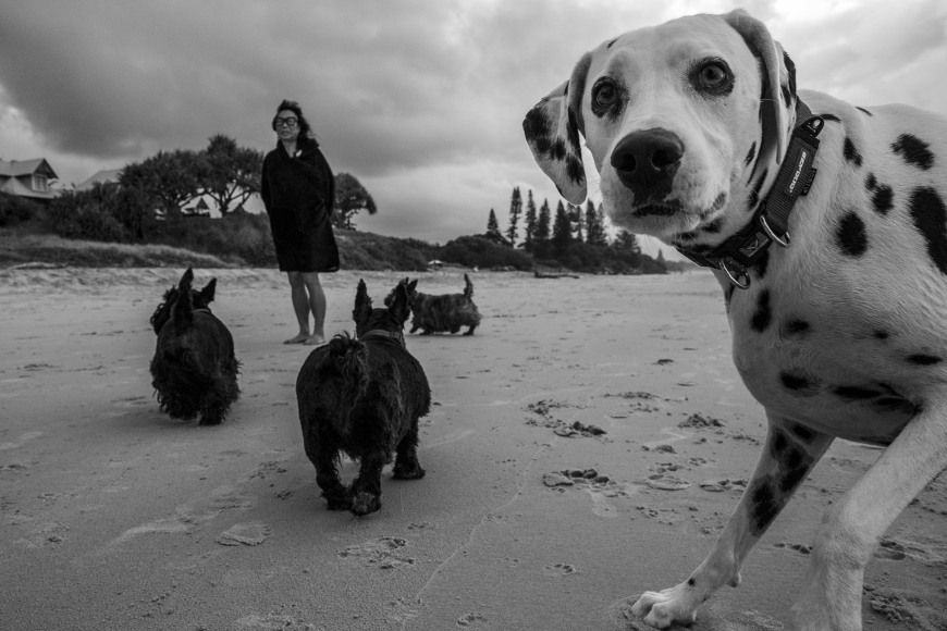lone goat gallery byron bay Rob Scott-Mitchell