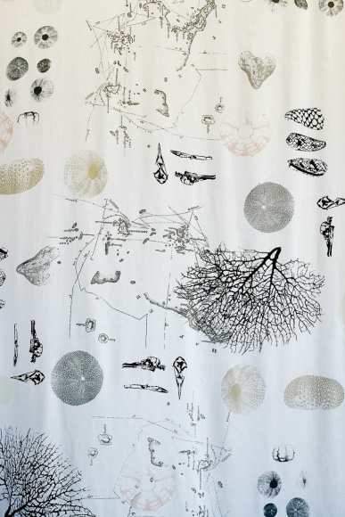 Anne Leon Assorted Beach Finds Screen-prints on linen 2016