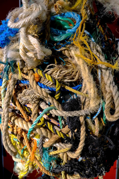 Graham 'Potts' Porter Intertwined (Detail) Found Objects 2016