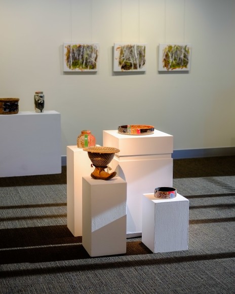 Bundjalung Heathland Installation View 2016 Lone Goat Gallery