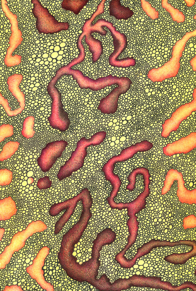 Jeremy Hawkes Epicormia 1