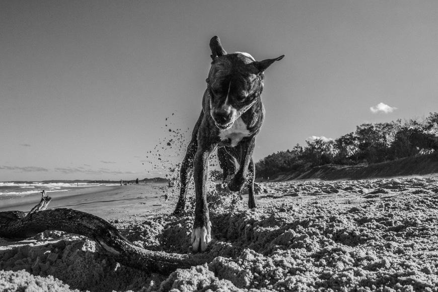 lone goat gallery byron bay Rob Scott-Mitchell
