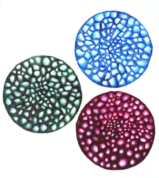 Jeremy Hawkes Epicormic (mapping 6)