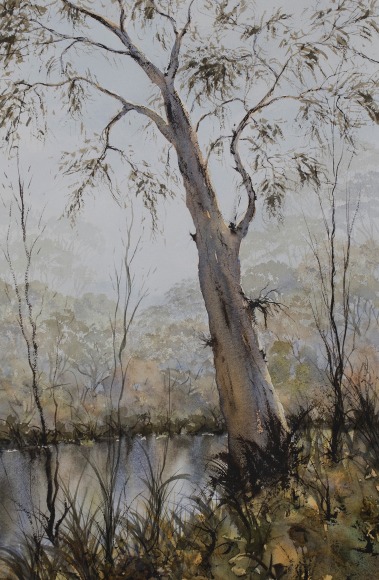 lone goat gallery byron bay Dave Sparkes