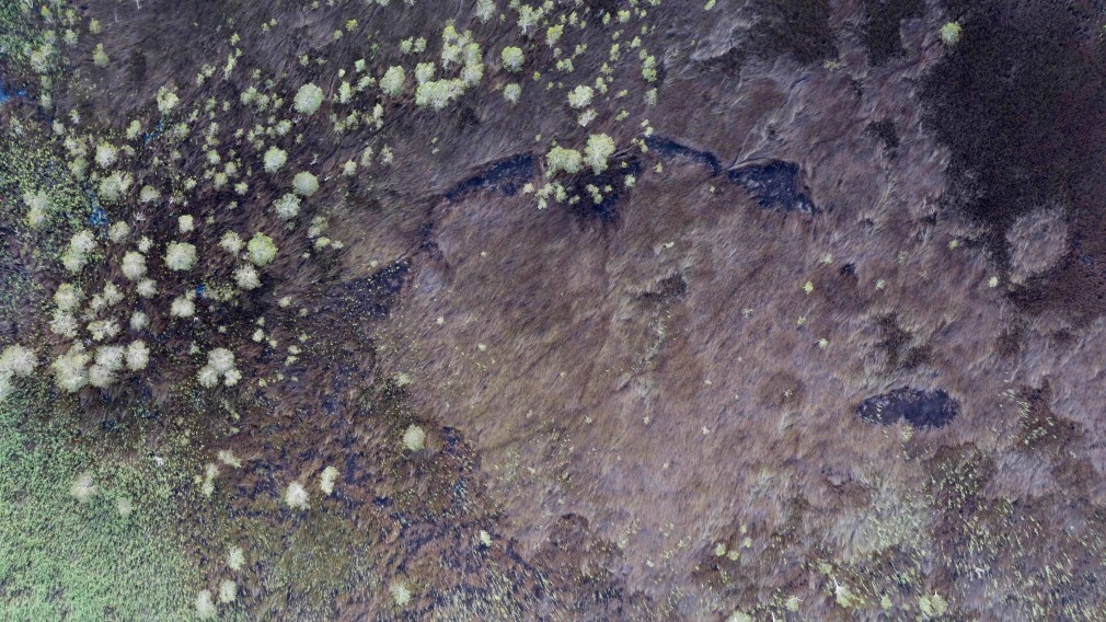 Stu Murphy  Part A, 2018