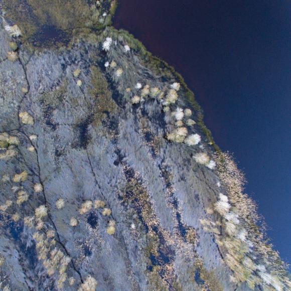 Stu Murphy, Lake Arragan, 2018, Aerial photo of wetlands at Lake Arragan near Grafton NSW