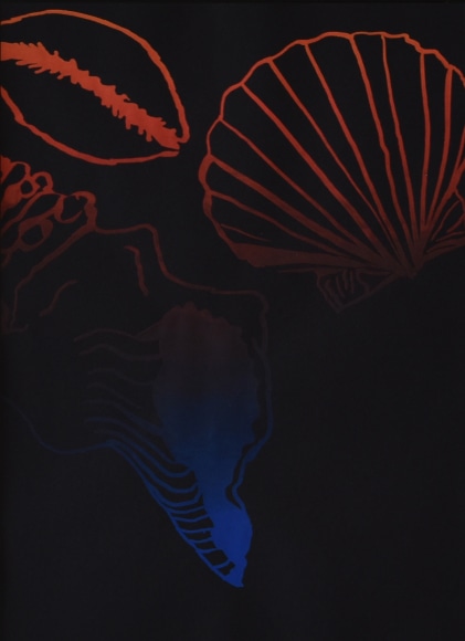 Jaimee Scott  Seashells, 2019 Artwork