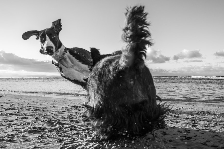lone goat gallery byron bay Rob Scott-Mitchell