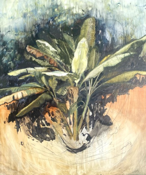 In Situ