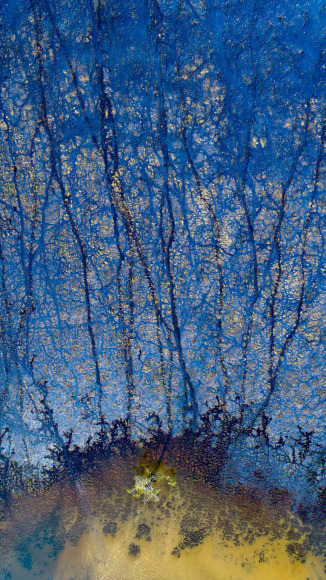 Stu Murphy, Both Worlds, 2018, Aerial photo of wetlands near Grafton NSW