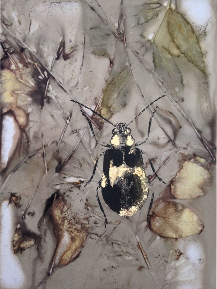 Anne Leon Bugs Plant-dyed paper with screen-print and gold leaf 2016