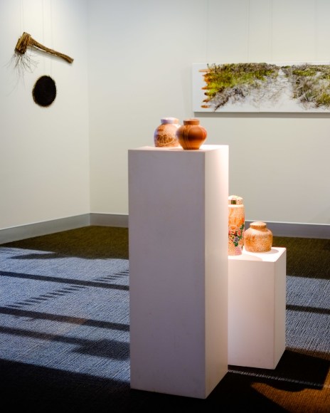 Bundjalung Heathland Installation View 2016 Lone Goat Gallery