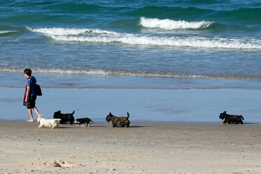 lone goat gallery byron bay Rob Scott-Mitchell