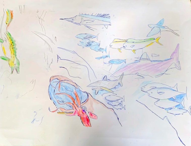 Nathan Gooley  Sea Menagerie, 2019