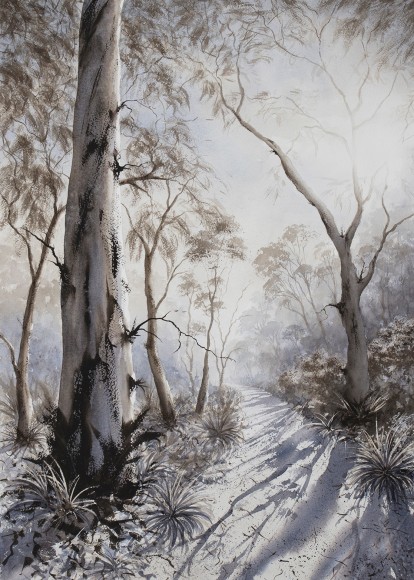 lone goat gallery byron bay Dave Sparkes